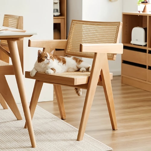 Chandigarh Leisure Rattan Chair with natural rattan design and wood frame in modern minimalist room.