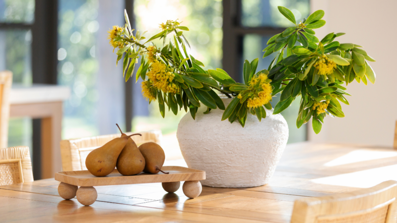 Summer Sanctuary: Designing a Home that Nurtures Your Mind & Body