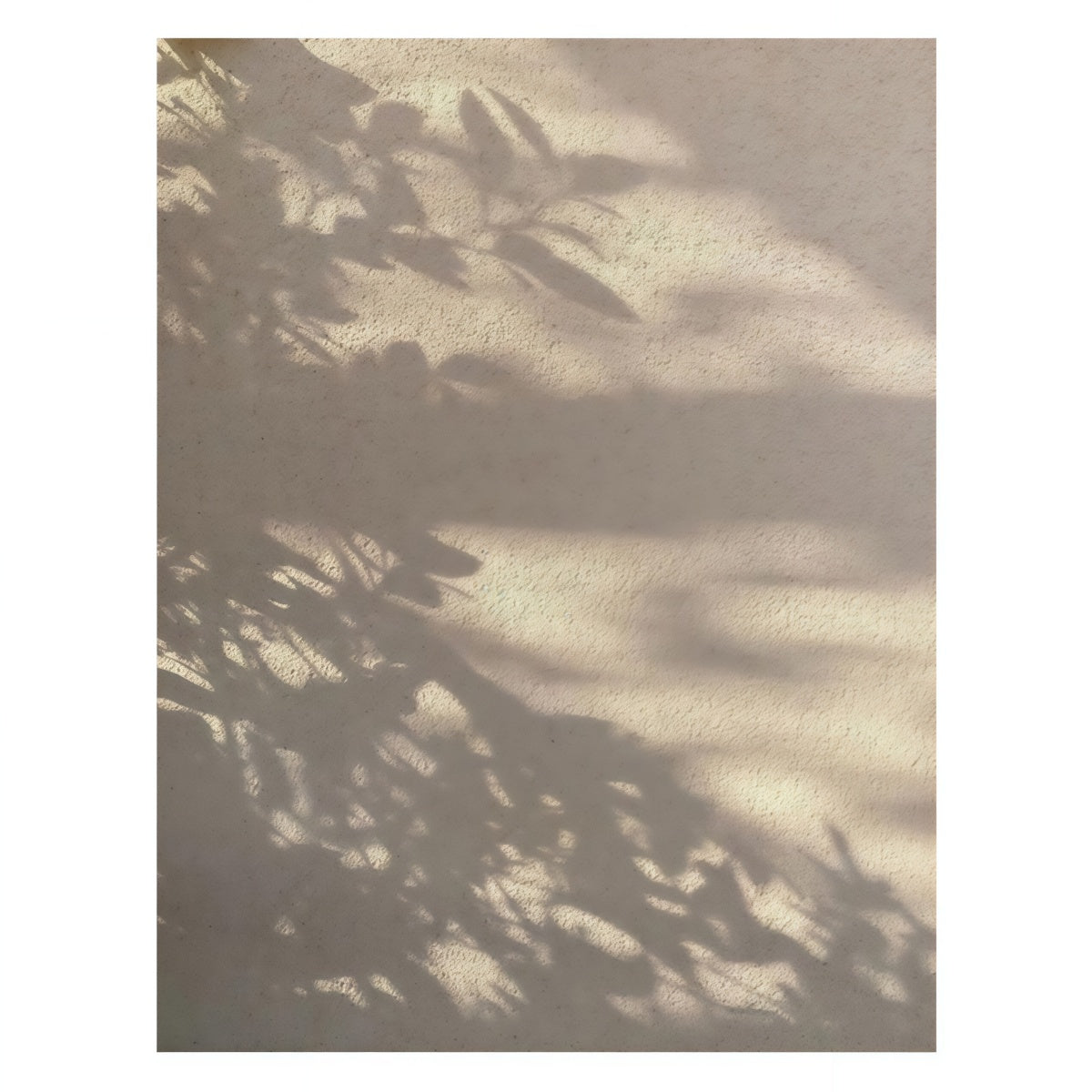 Hand-painted Wabi-Sabi landscape painting with tree shadows in Italian minimalist style on textured oil canvas