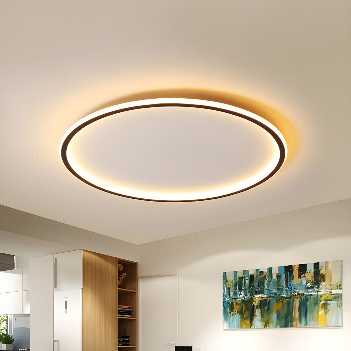 Nordic Style Disc LED Ceiling Lighting Wide Aluminum Black Flush Lamp