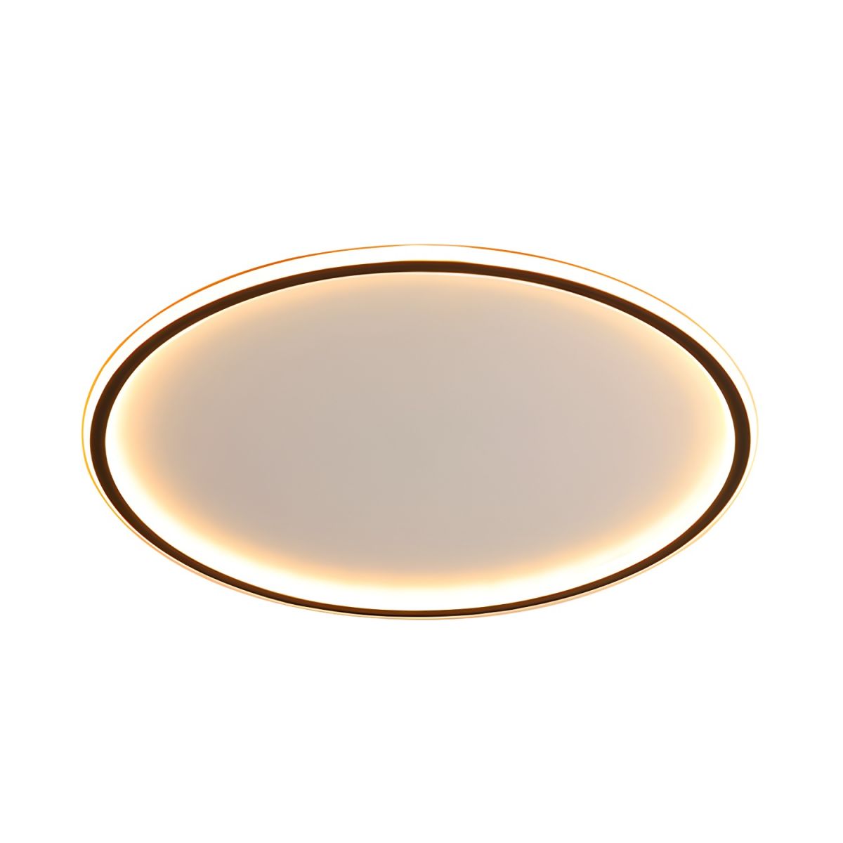 Nordic Style Disc LED Ceiling Lighting Wide Aluminum Black Flush Lamp